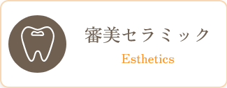 審美セラミック